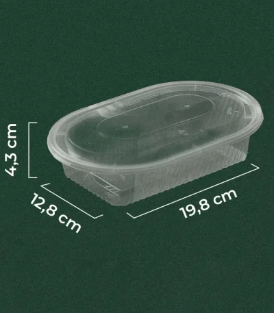Rectangle Oval Transparent (600 ml)